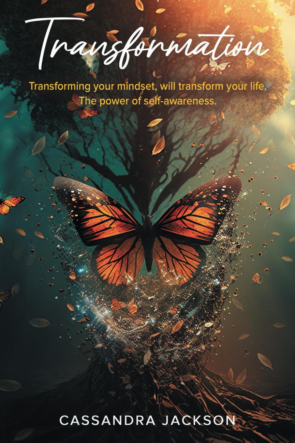 Transformation: Transforming your mindset, can transform your way of life. The power of self-awareness.