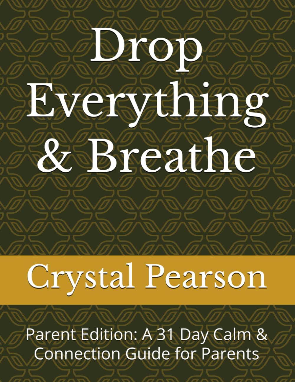Drop Everything & Breathe: Parent Edition: A 31 Day Calm & Connection Guide for Parents