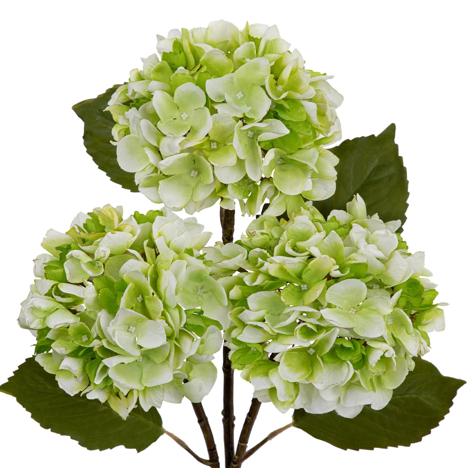Hollyone Pack of 3 Hydrangea Artificial Flowers, Light Green Hydrangea Stems with Large 7'' Blooms, Long Stem Silk Flowers for Floral Arrangement, Tall Vase, Home Decor, Wedding Decorations