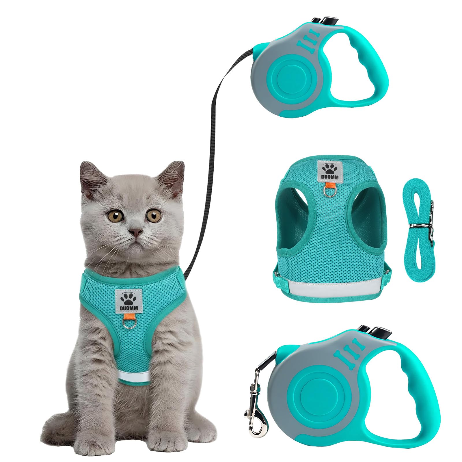 Ensemble harnais et laisse pour chaton pour renforcer votre complicité