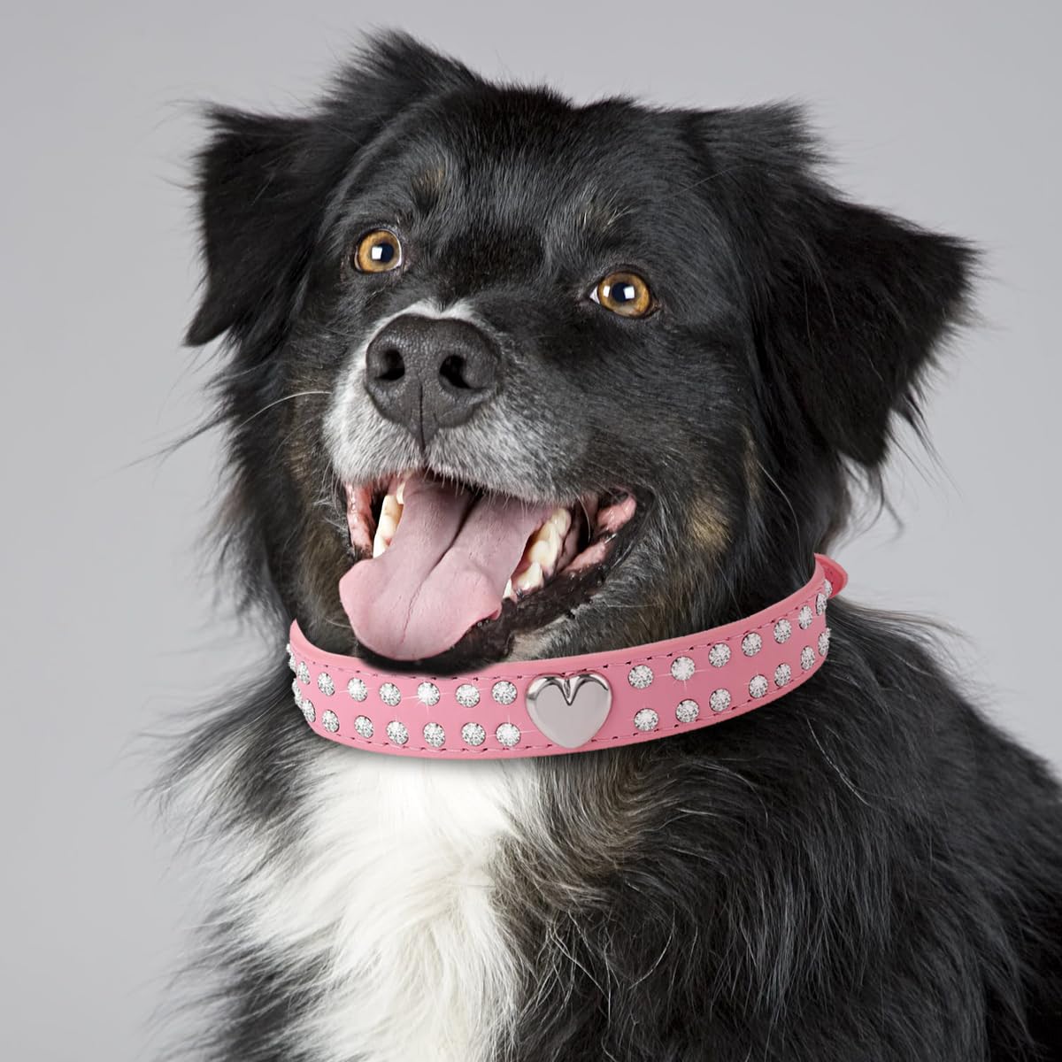 Luckious Brand Crystal Pet Collar - Bling PU Leather Rhinestone Adjustable Collar for Small and Medium Dogs and Cats (Size: S/M) - Image 4