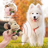 Vista 3 de Raffaelo Juguetes para perros, juguetes para cachorros, juguetes masticables de limpieza de dentición, juguetes interactivos de felpa