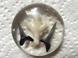 Customer Image, click to open customer review