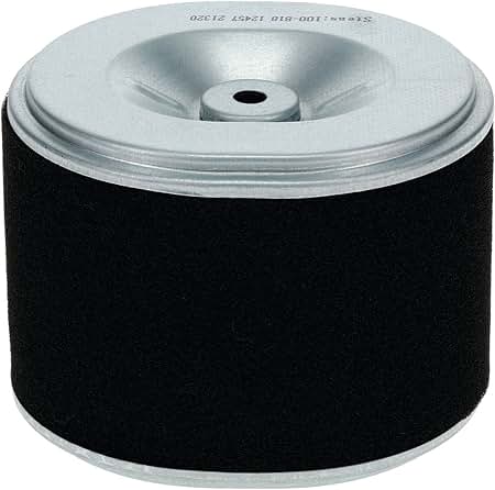 Amazon.com: Stens Air Filter Combo 100-818 Compatible with Honda
