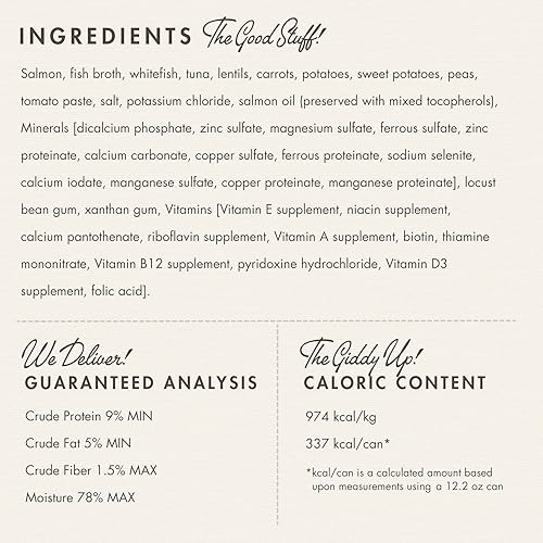 Miniatura 4 de Fromm Comida para perros con paté de mariscos, comida húmeda prémium para perros, receta de salmón, caja de 12 latas