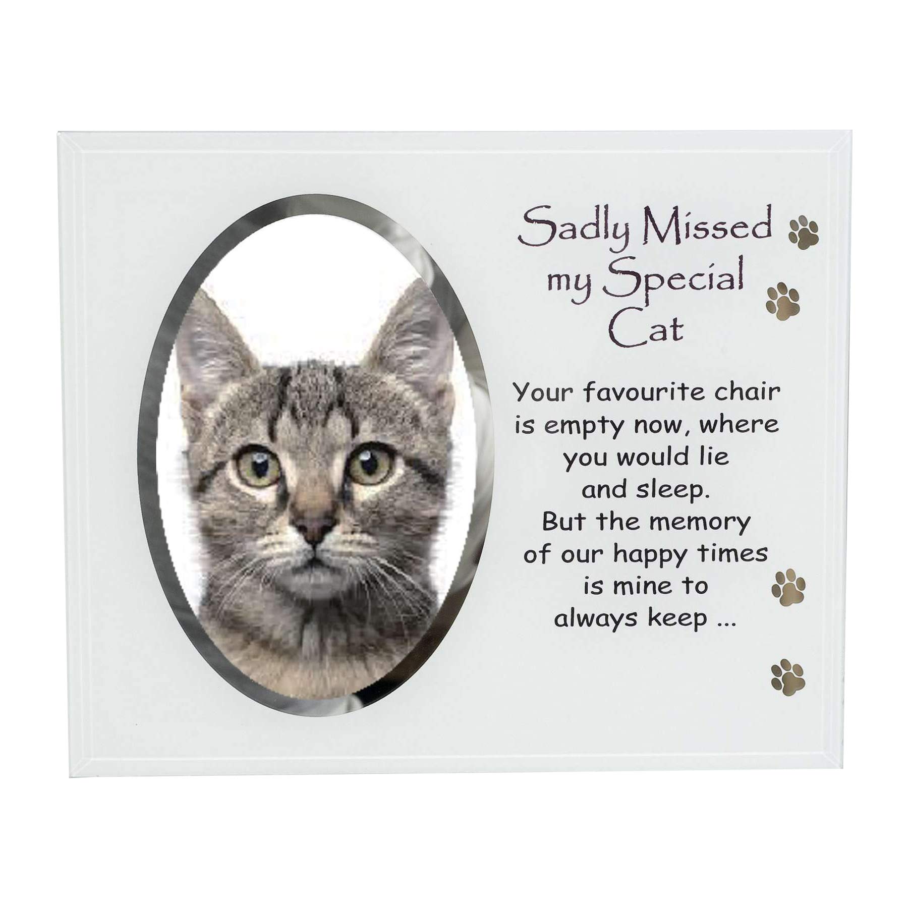 Glass Photo Frame with Wording Pet Memorial Memory - Special Cat 5678