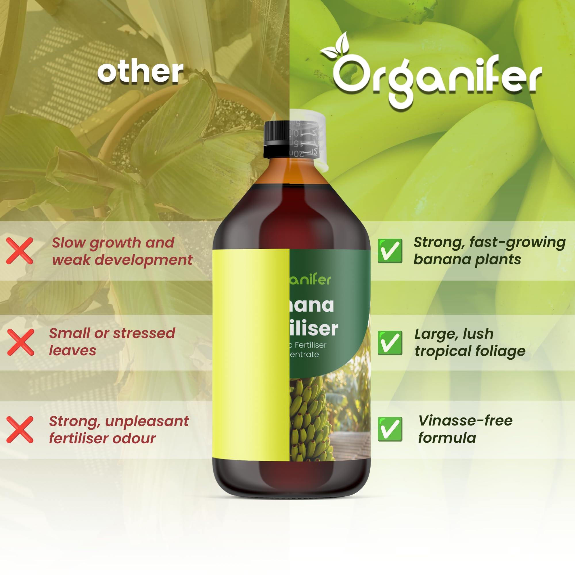 Fertilizante Líquido Para Banano - 3x1L - NPK 2-1-8 | Fertilizante Para Plantas Robustas Y Hojas Sanas - Favorece Raíces Y Vitalidad - Organifer