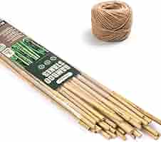Amazon.com: Cambaverd Bamboo Sticks for Plants 2 Feet with