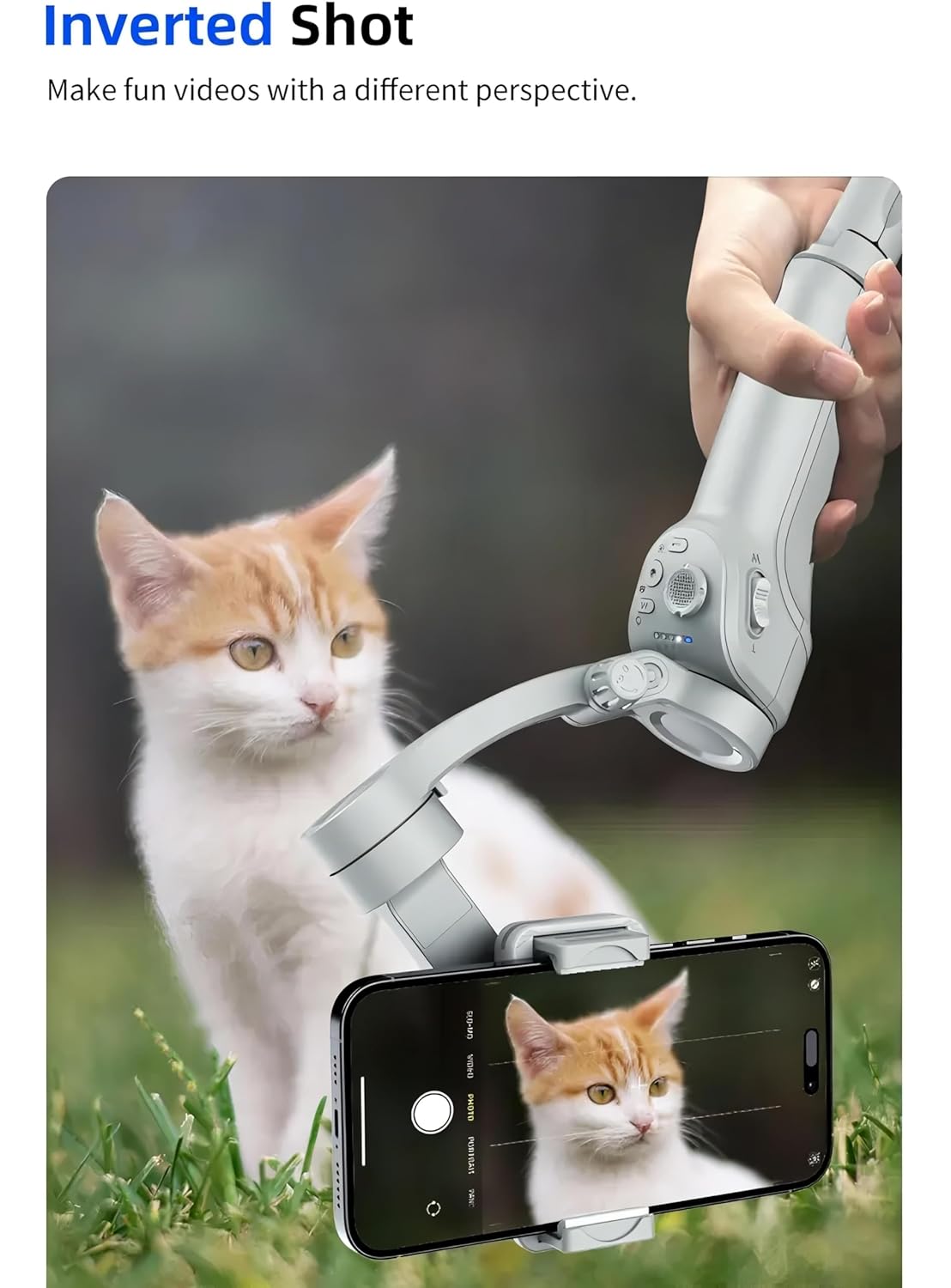 Inverted Shot demonstration with a cat