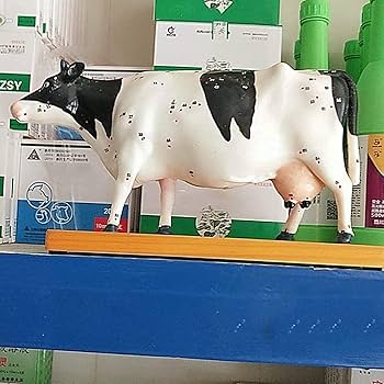 Amazon.co.jp: 牛体鍼灸モデル、牛原子モデル、動物解剖学モデル、68の