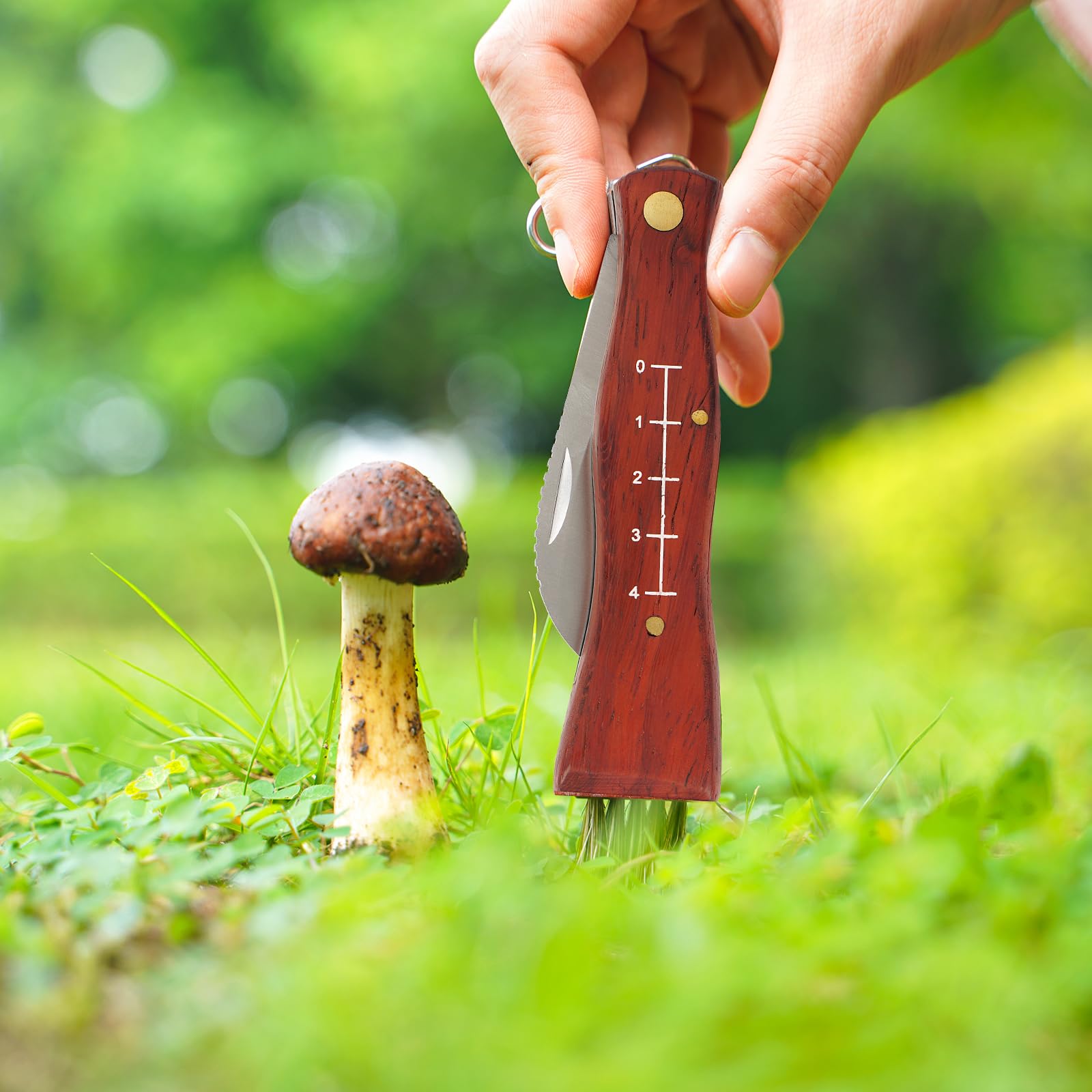 GVDV Coltello per Funghi, con Spazzola, Borsa da Caccia, Bussola e 2*Guanti, Coltello Micologica Manico in Legno, Spazzola in Setola di Cinghiale
