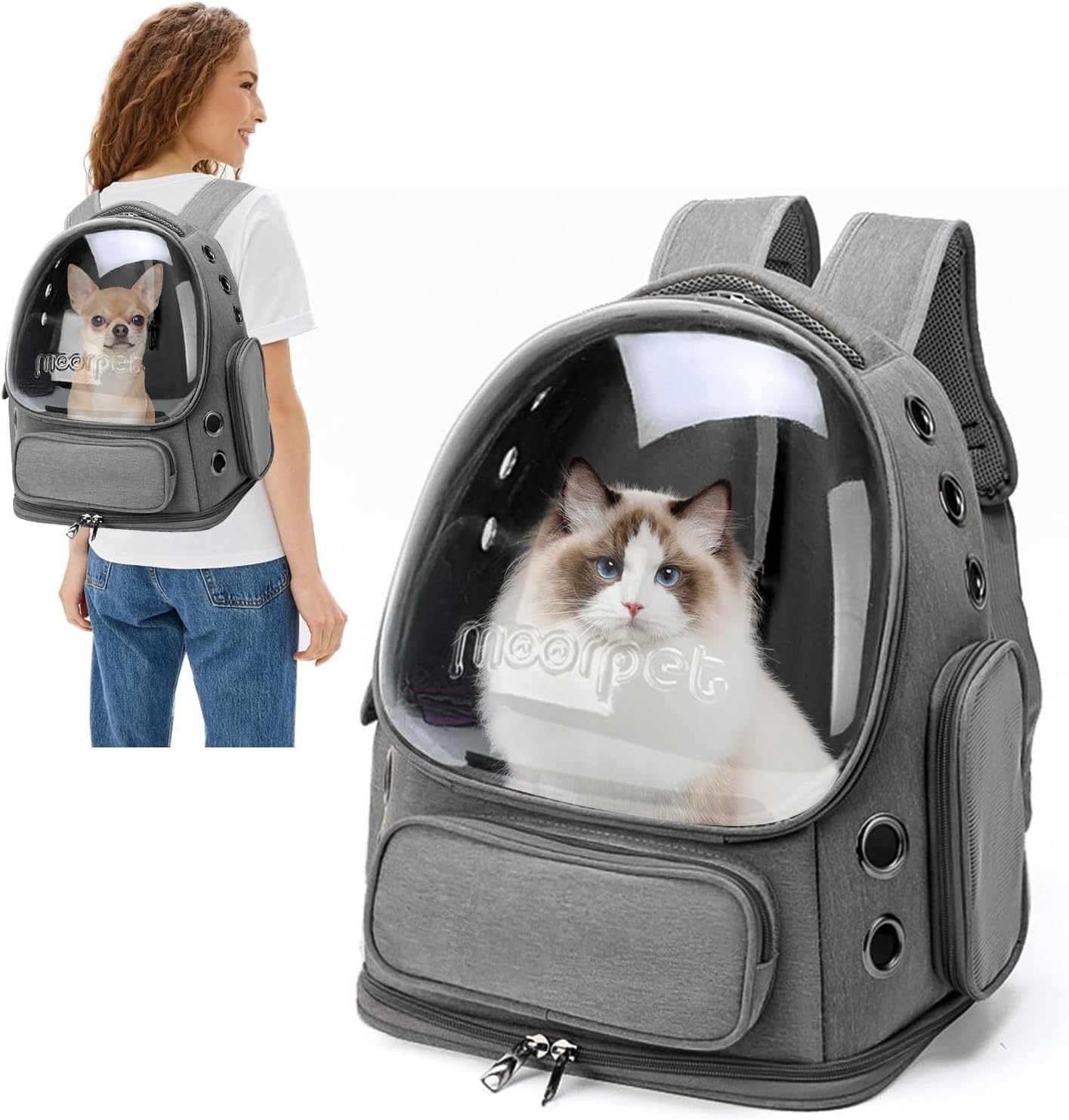 PETCUTE Sac à Dos Chat Chien, Sac Transport Chat Chien Respirant pour Petits Chats et Chiens Chiot, Sac à Dos à Bulle pour Animal Domestique avec Tapis Amovible,Sangle de Sécurité Interne,pour Voyage