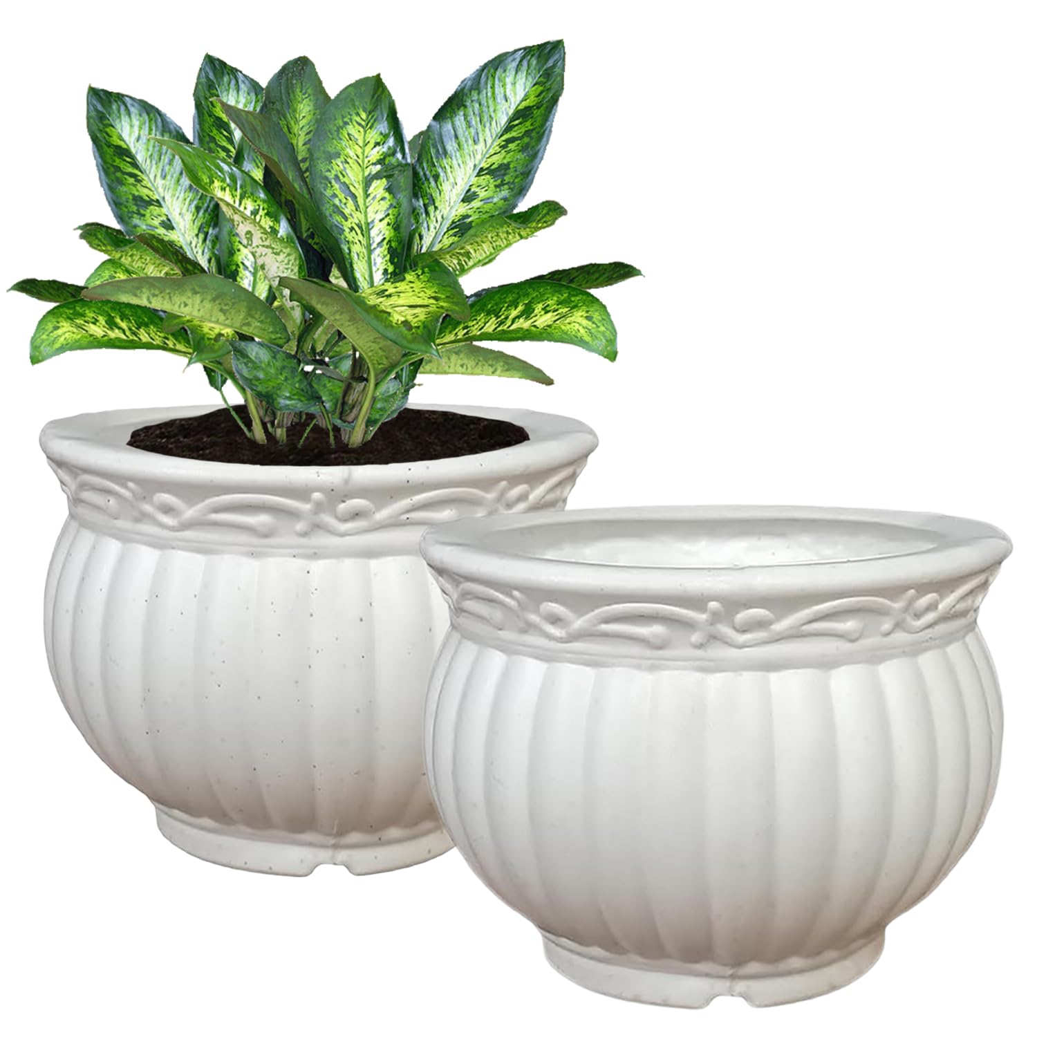 See full amazon price history chart for Kuber Industries Kanha Matki Flower Pot | Flower Planter Pots for Indoor | Flower Pots for Outdoor | Pot for Garden & Balcony Flowering | Flower Plants Pot | 6 Inch | Pack of 2 | White Kuber Industries Kanha Matki Flower Pot | Flower Planter Pots for Indoor | Flower Pots for Outdoor | Pot for Garden & Balcony Flowering | Flower Plants Pot | 6 Inch | Pack of 2 | White (B0CKNCBV18) Amazon Price History, Amazon Price Tracker