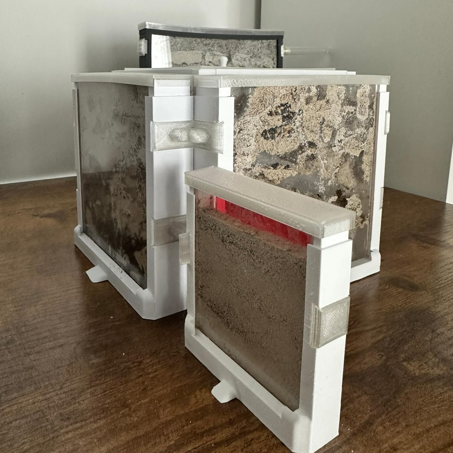 Ant-Shelter - Kit passionné fourmilière et Aire de Chasse pour Fourmis - Terrarium pour l'élevage des Fourmis - Fourmilières - Activités pour Enfants - Idées Cadeaux Enfants (Blanc)