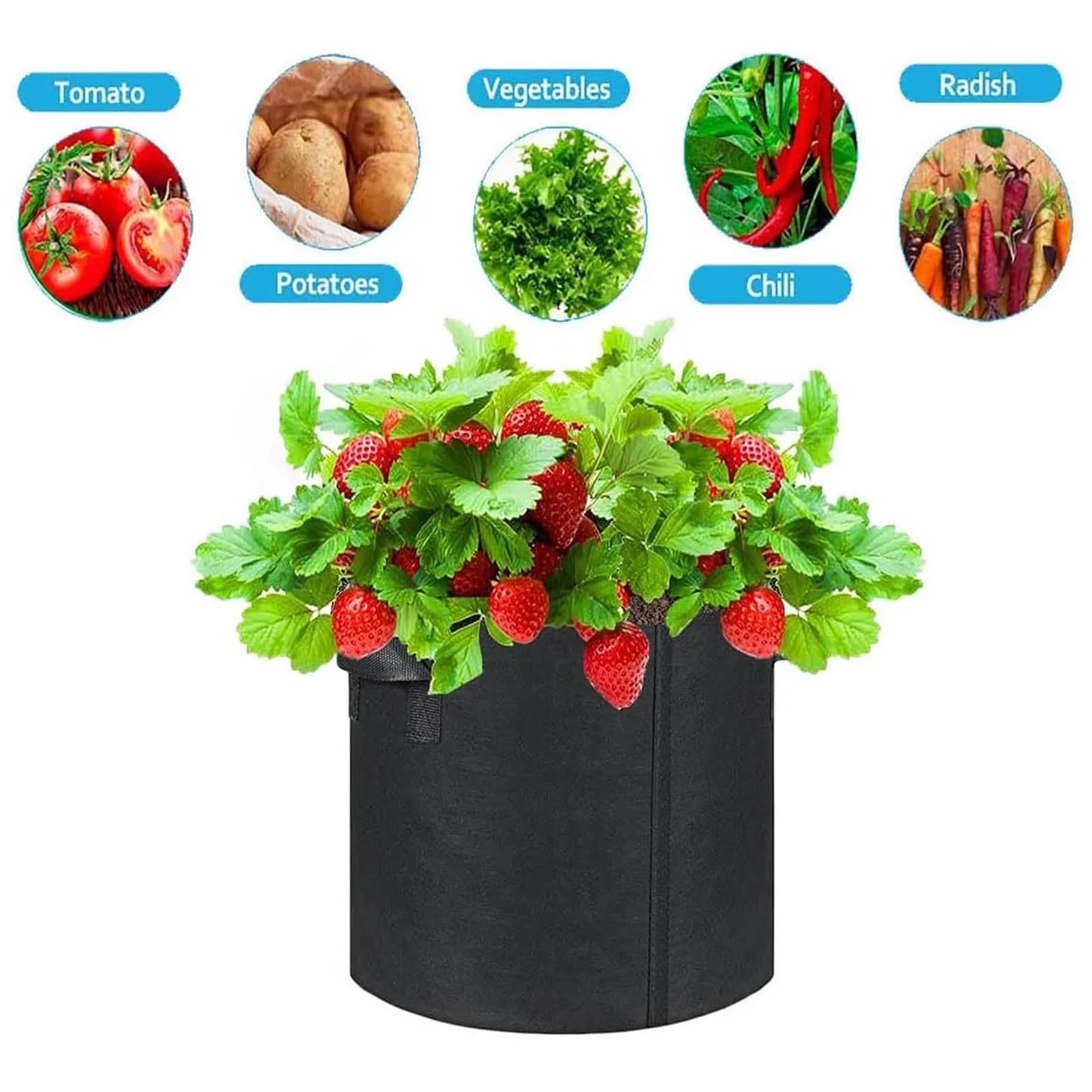 Sac Plantation Non Tissé Sacs de Culture, Pots en Tissu épais et aéré 300 g avec poignées, Sacs Jardin Robuste for la légumes(2pcs,10 Gallon)