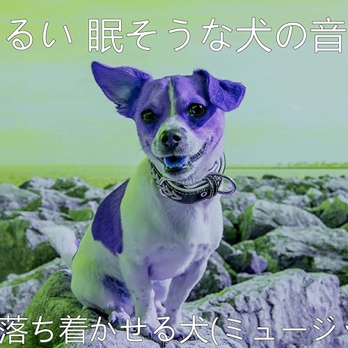 Amazon Music 明るい 眠そうな犬の音楽の雰囲気 かわいい犬 Amazon Co Jp
