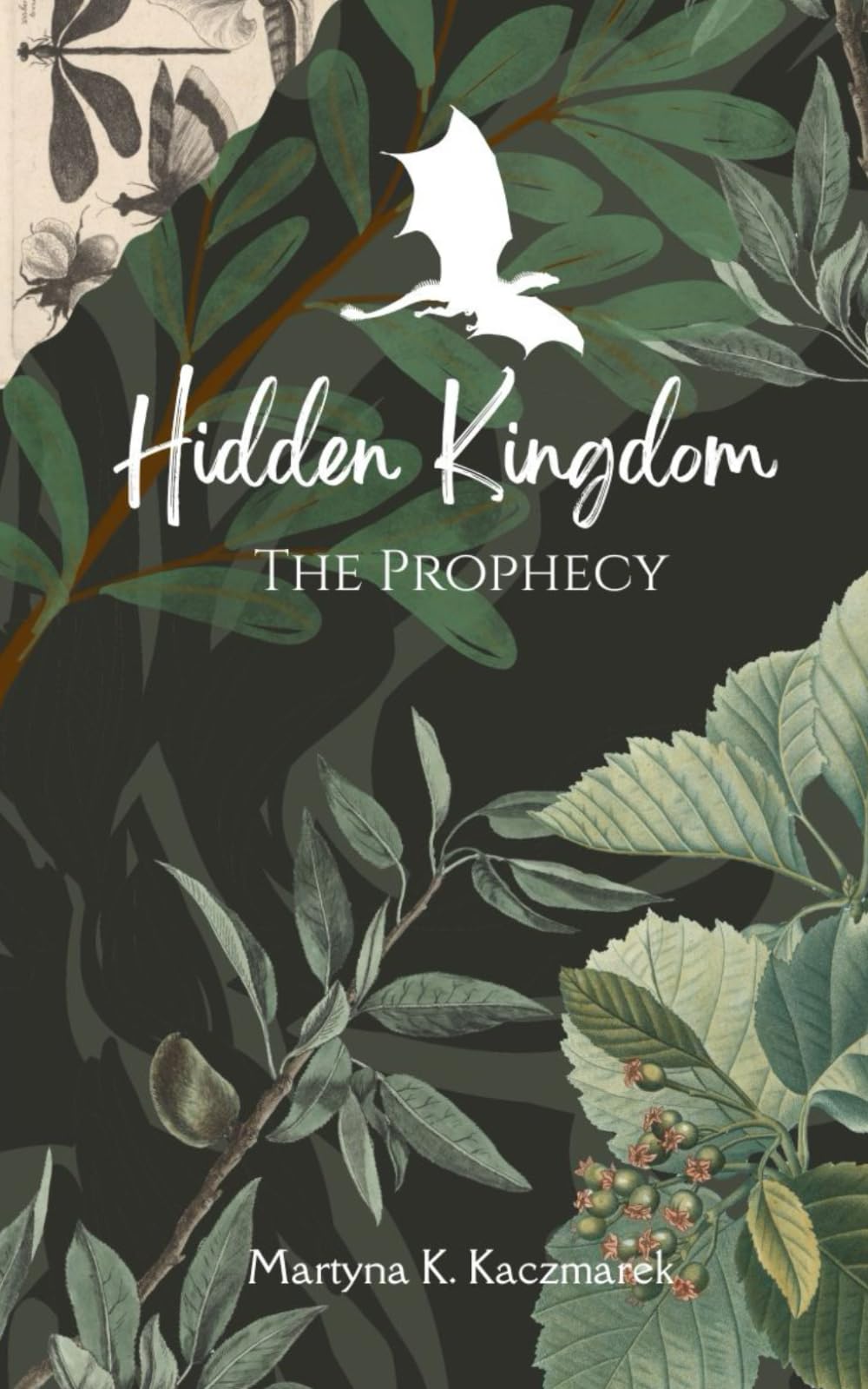 Hidden Kingdom: The Prophecy