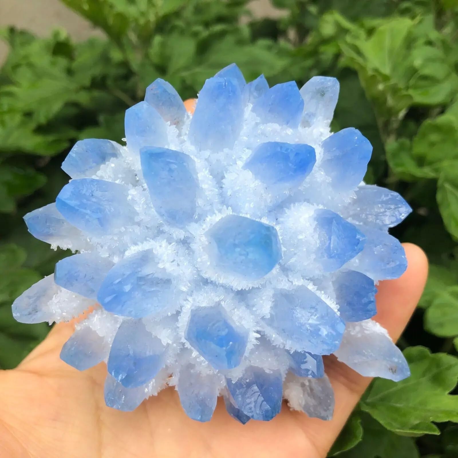 KJEBVHIRS Stone Sky Blue Phantom Quartz Crystal Cluster specimens, Collectibles(550-600g)