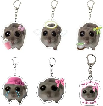 6 PCS Sad Hamster Meme Keychain For Women, Cute Key Chain for Backpack Charm Accessories, Funny Kawaii Animal Acrylic Keychain Set, Crying Hamster Ornament Pendant