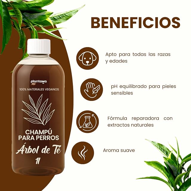 Foto 5 de 7 de PLANTAWA Champú Árbol de Té para Perros 1L