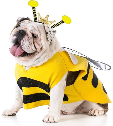 Miniatura 7 de Funnlot Diadema de abeja, 2 piezas de antena de abeja, accesorios de disfraz de abeja, dirección de pelo de abeja, hormiga, mariquita, banda para el