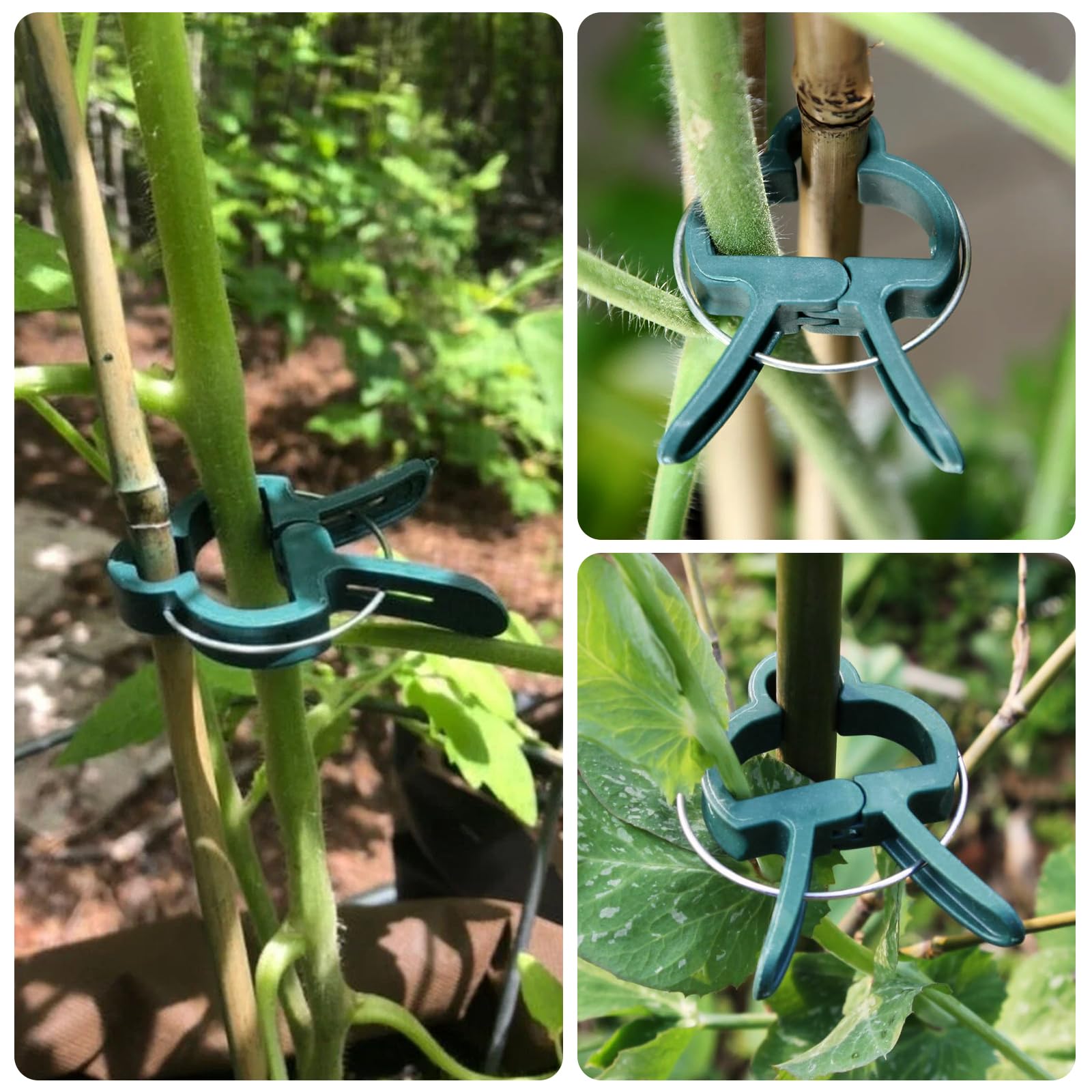 50 Clip Adesive Per Piante Rampicanti KINGKAKE – Fermagli A Forma Di Foglia In Resina ABS Per Pareti Lisce, Supporti Per Viti, Fissacavi E Organizer Fai Da Te