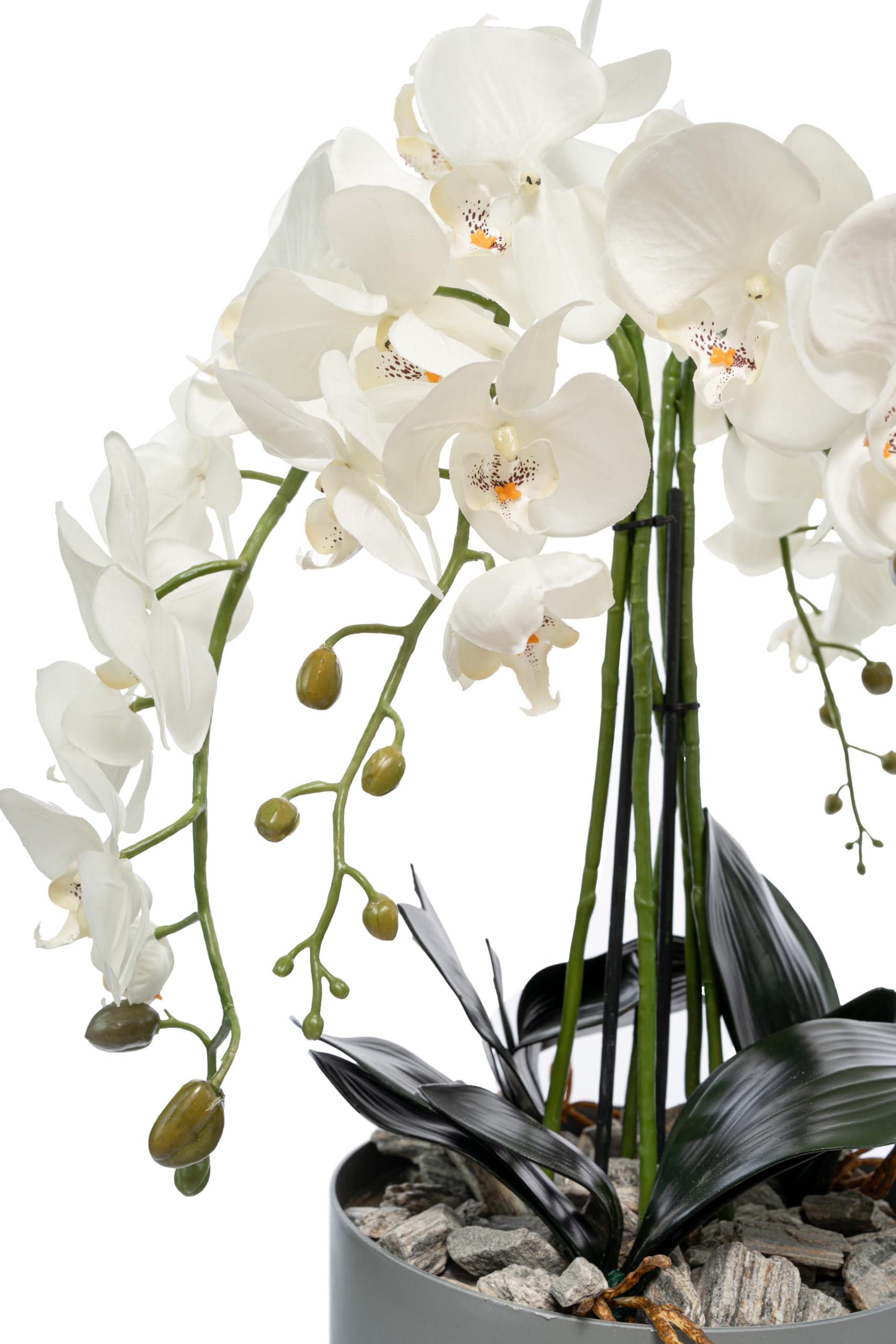 Kunstliche Orchidee weiß xxl im Topf Beton-Optik, 90x40cm groß, realistische Blüten Phalaenopsis, 4 Rispen | industrial, minimalistisch Arrangement, Kunstblumen wie Echt, Hochzeit, Heimdeko