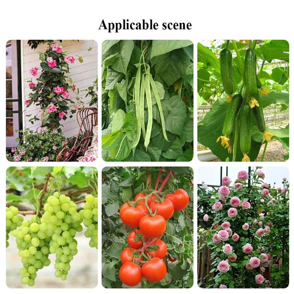 10 szt. Tomato Cas Wsparcie dla roślin kes 120 cm kratka ogrodowa do cielęciny pnące rośliny weterynaryjne kwiaty owoce winorośle i łatwy montaż