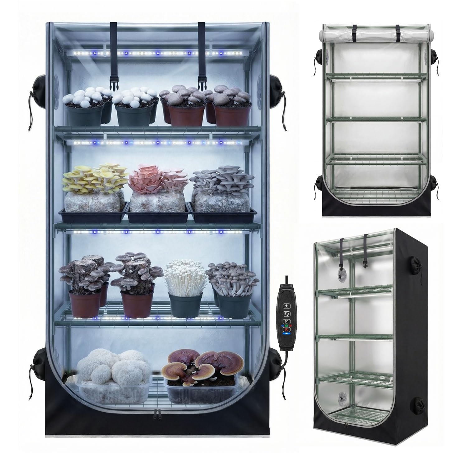 Zoyoyes Black Mushroom Grow Tent Kit With Mushroom-Optimized Grow Lights & Timer