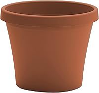 Bloem Terra 8 Inch Terra Cotta Resin Planter Pot with Drainage Holes - Durable Lightweight Indoor Outdoor Gardening Pot