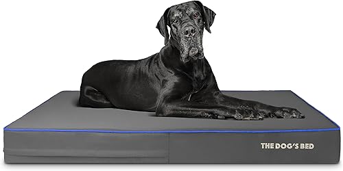 Miniatura 82 de The Dog's Bed - Cama ortopédica de espuma viscoelástica para perro, grande gris y negro, impermeable, cama de apoyo con fundas reemplazables, negro