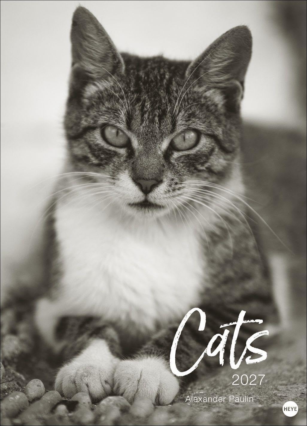 Cats Edition Kalender 2027: Elegante Samtpfoten in schwarz-weiß in einem XXL-Kalender. Tierkalender 2027 im Großformat. Hochwertiger großer Fotokalender für Katzenfans.