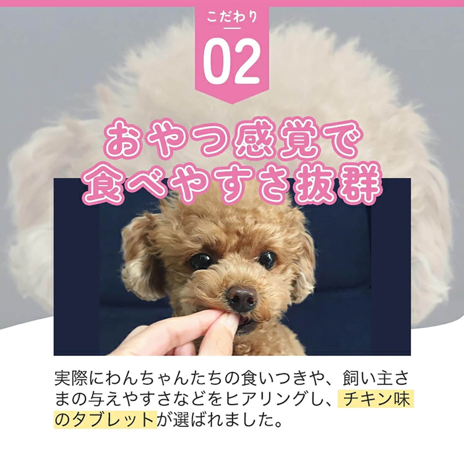 Amazon | 【公式】 わかさ生活 わんにゃブル 犬 目 サプリ 猫 ペット