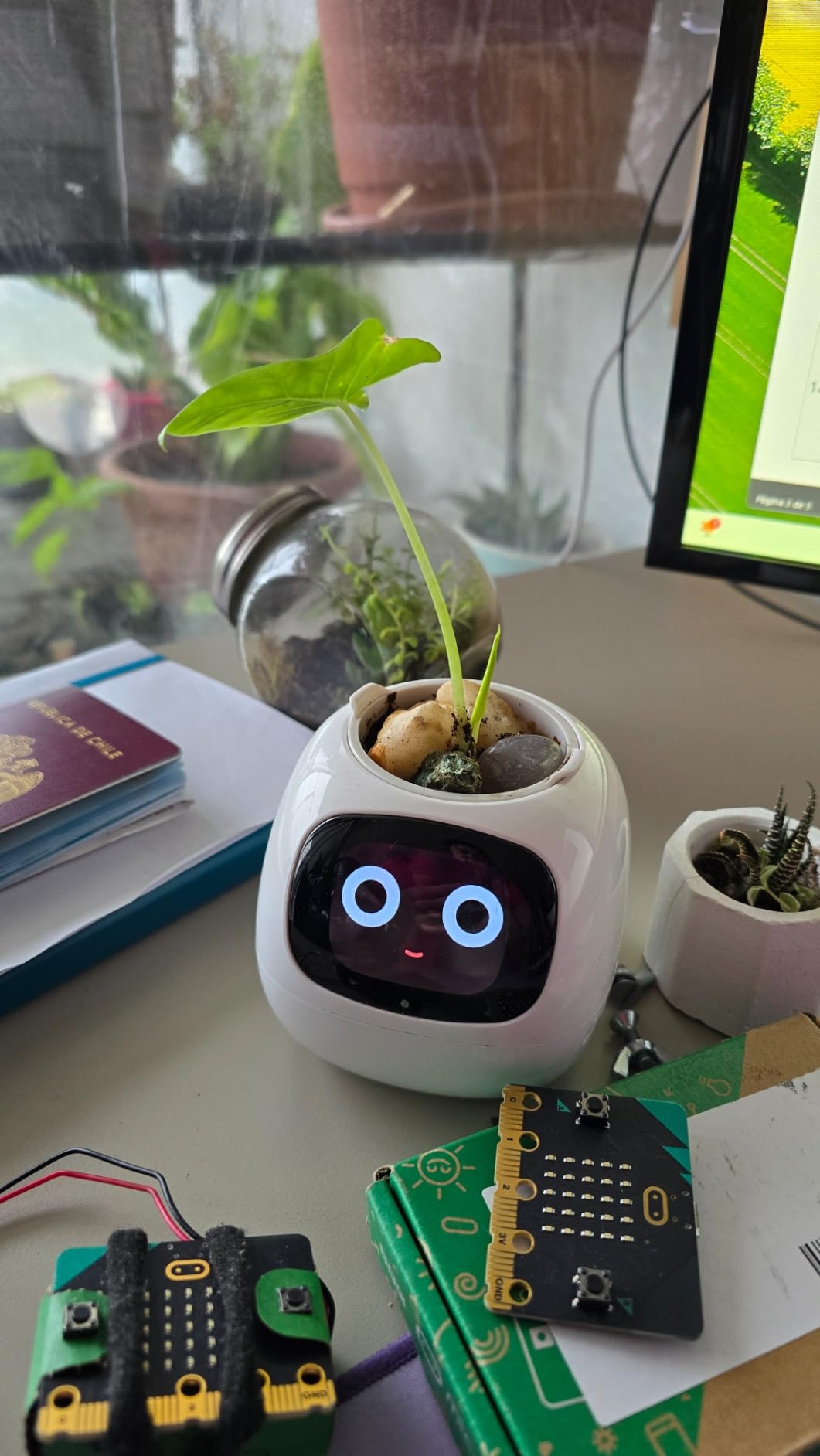 Plantagotchi - AI Smart Planter photo review