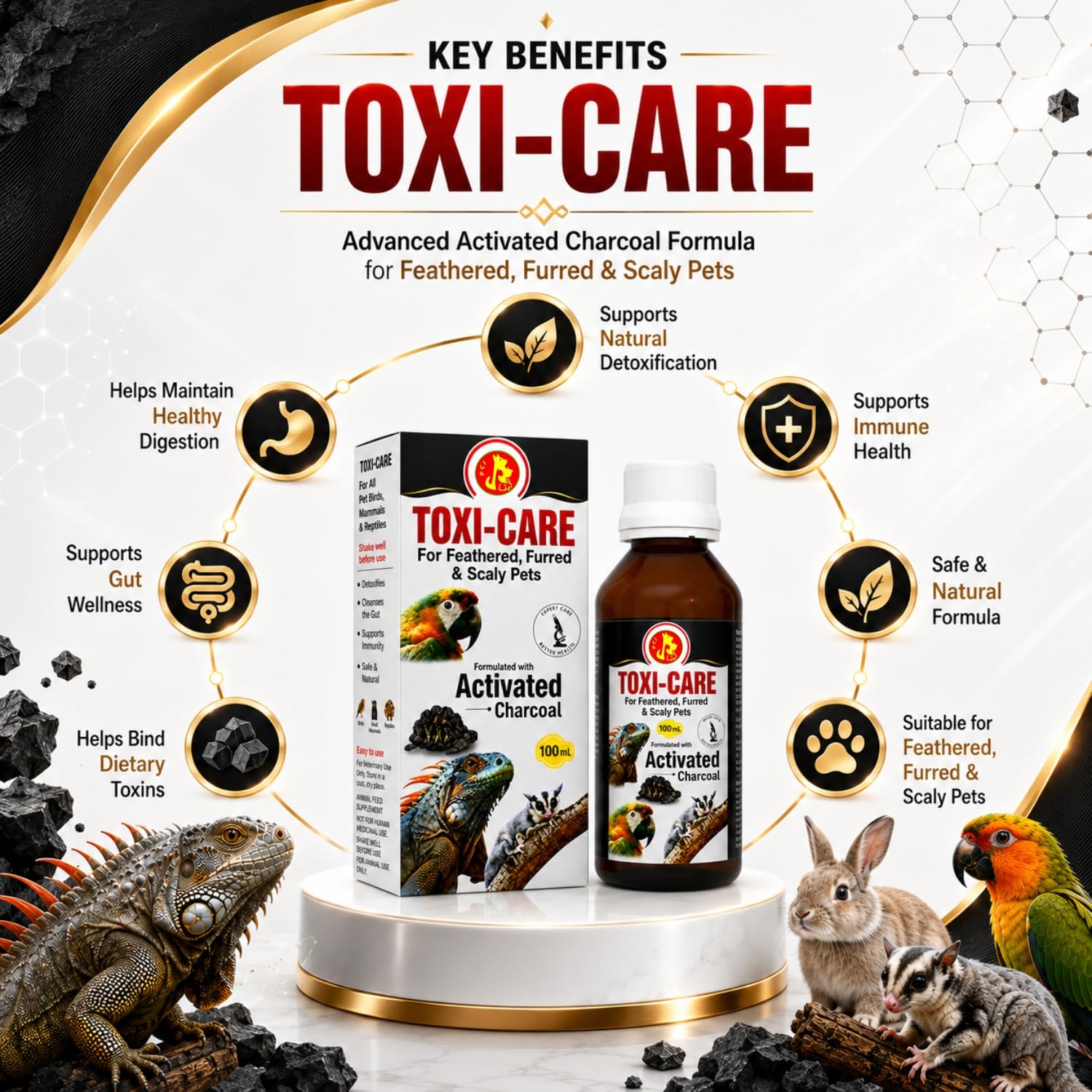 Pet Care International (PCI) Toxi Care || Provide Essential Detoxification || for Healthy Iguana, Gecko and Other Scaly Pets Healthcare (100ml) 1