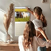 Vista 881 de Razas de Perros 2017