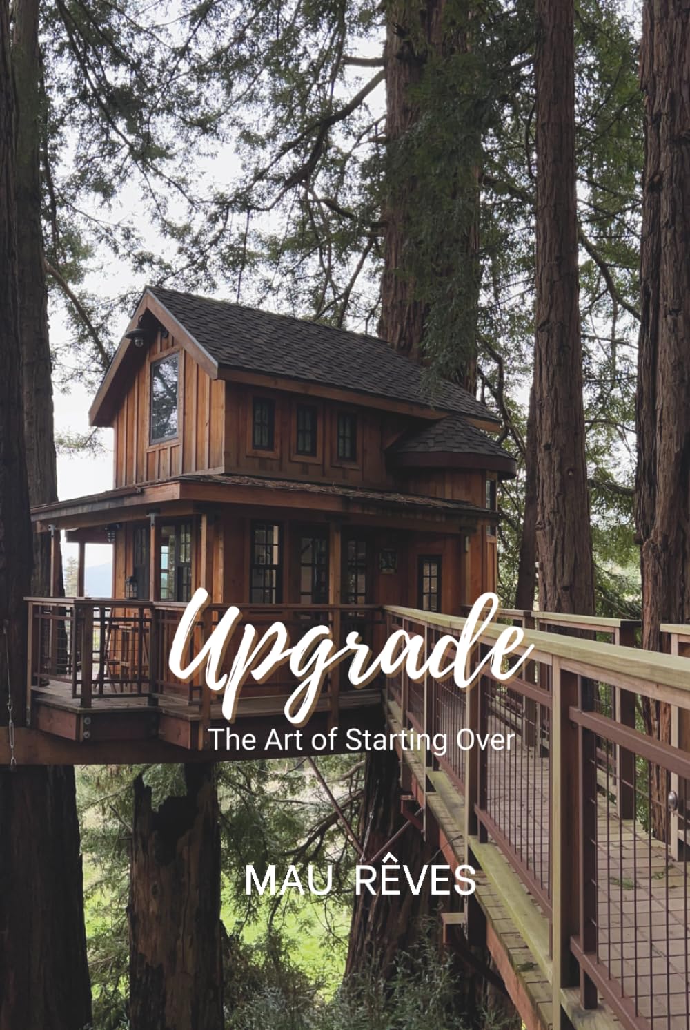 Upgrade: The Art of Starting Over