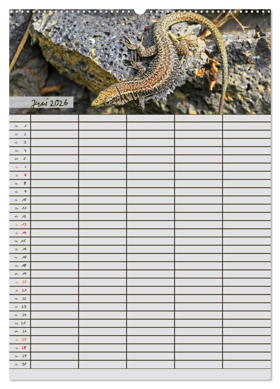 Tierischer Familienplaner (hochwertiger Premium Wandkalender 2026 DIN A2 hoch), Kunstdruck in Hochglanz: Deine tierische Hilfe beim Planen von Schule, Beruf, Haushalt und Freizeit (CALVENDO Tiere)