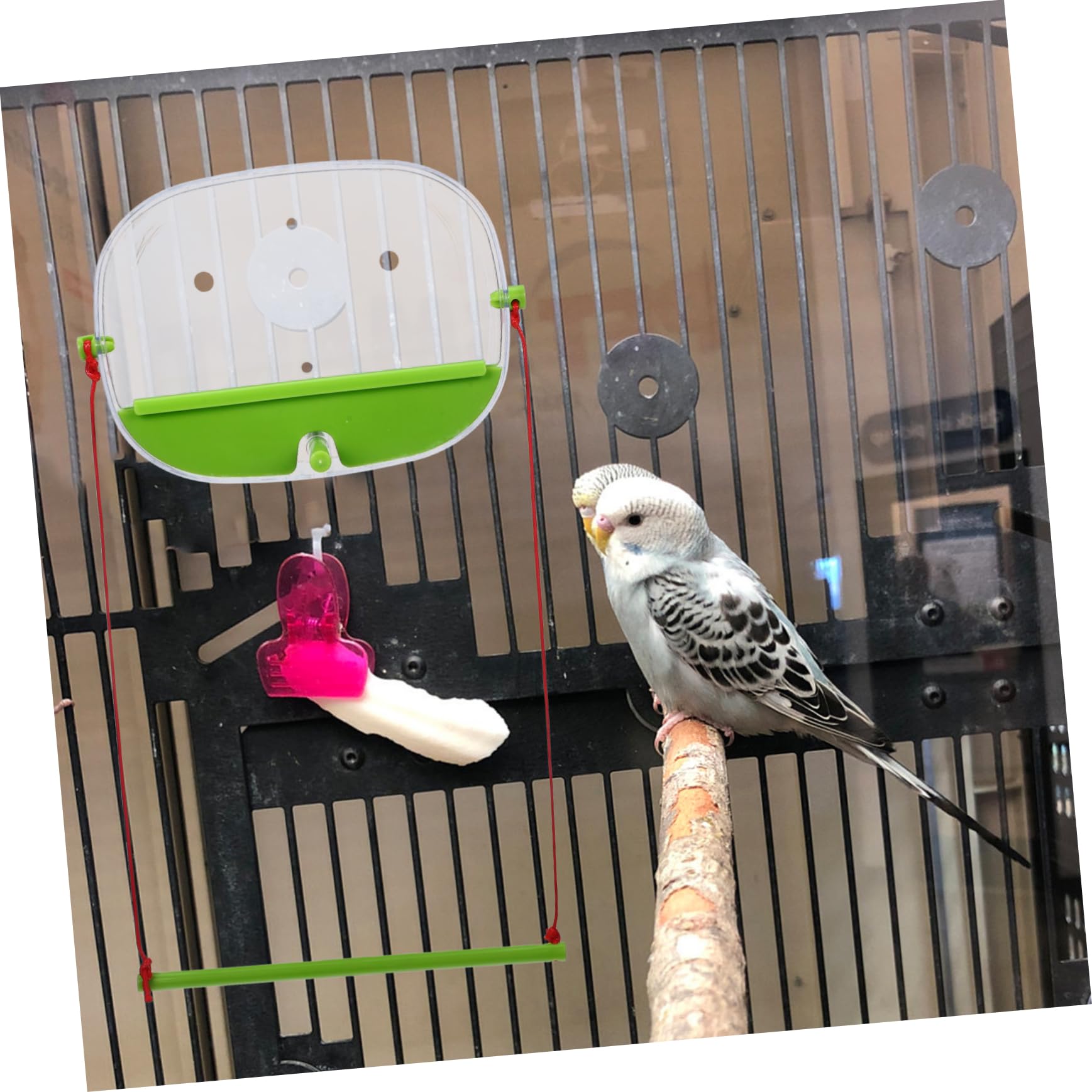POPETPOP 3 Juegos Comedero para Pájaros Ventosa del Comedero del Colibrí De La Ventana Comederos De Pájaros De Ventana para Exterior Alimentador De Ventana Educación Física Green