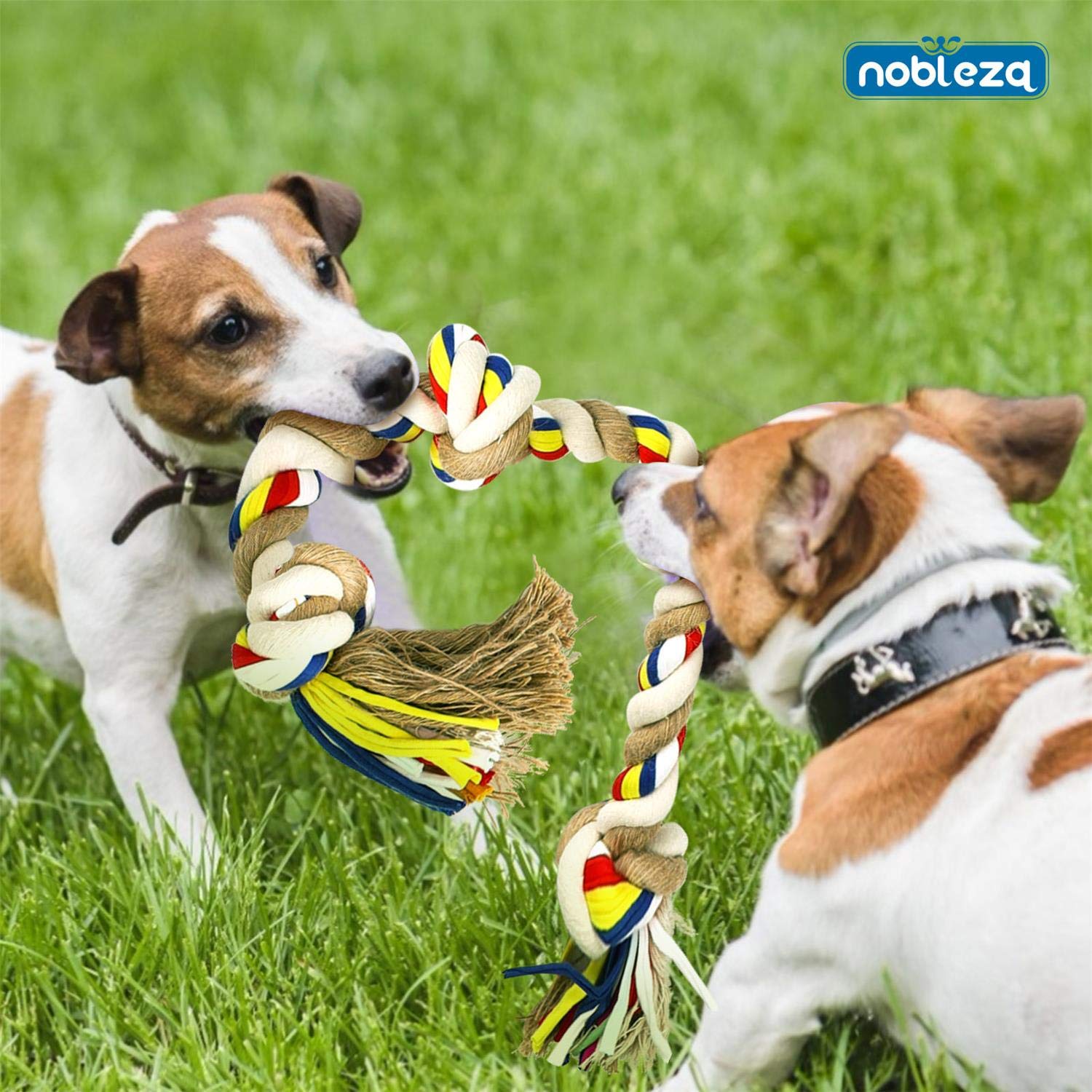 Nobleza - Corda giocattolo per cani in 100% cotone, benefica per la salute mentale del cane ， Salute dentale e pulizia dei denti ， Miglior regalo per tutti i tipi di cani （Beige e marrone）- 68cm