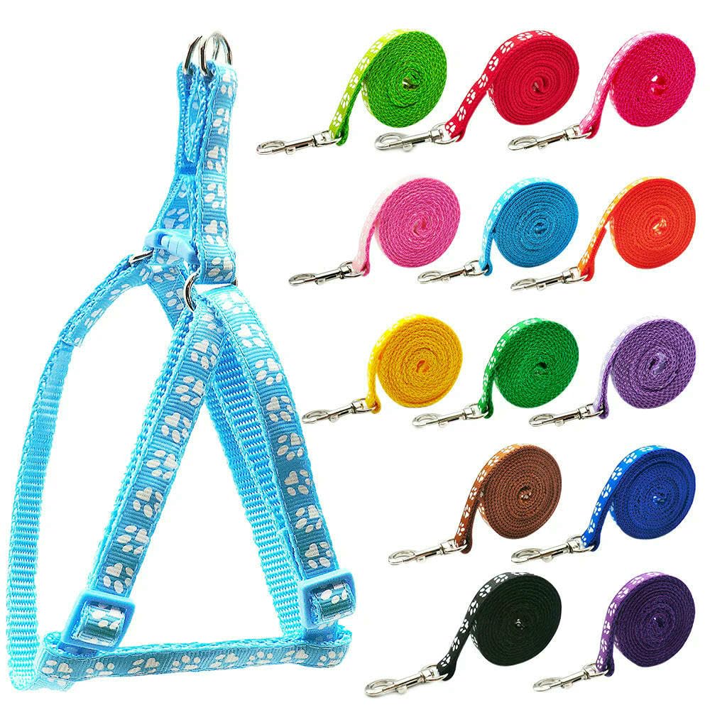 ZBDP Lot de 24 harnais réglables colorés pour animal domestique Laisse pour chien et chat