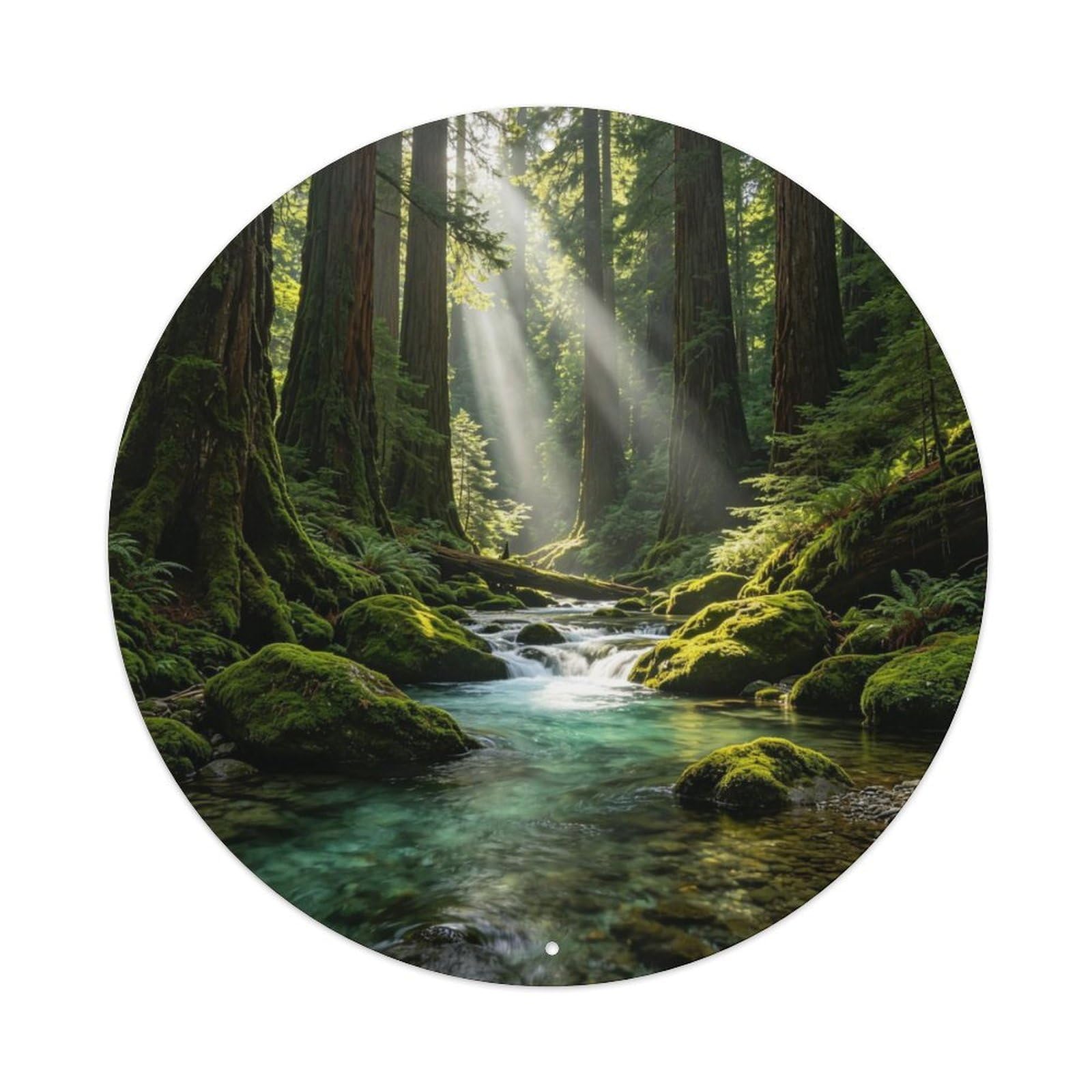 Redwood Forest Stream Metal Tin Sign Plaque