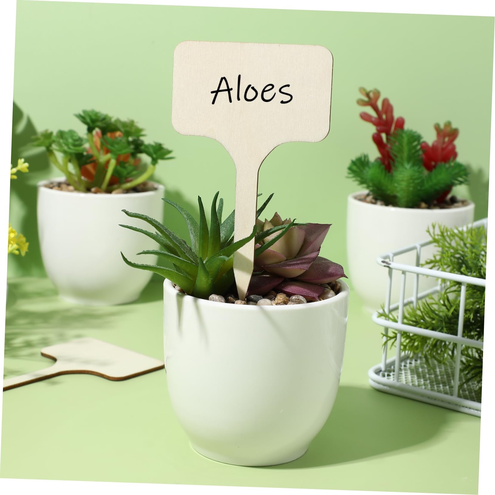 BESPORTBLE Lot De 5 Étiquettes De Jardin En Bois Pour Plantes Marqueurs De Plantes Lisses Et Polyvalents Pour Plantes Dintérieur Et Dextérieur 50 Pièces X 5