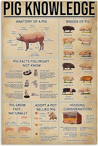 Youpinnong Póster retro de Pig Knowledge - Póster de lata de razas de cerdo, decoración retro para el hogar, garaje, bar, cafetería, granja,