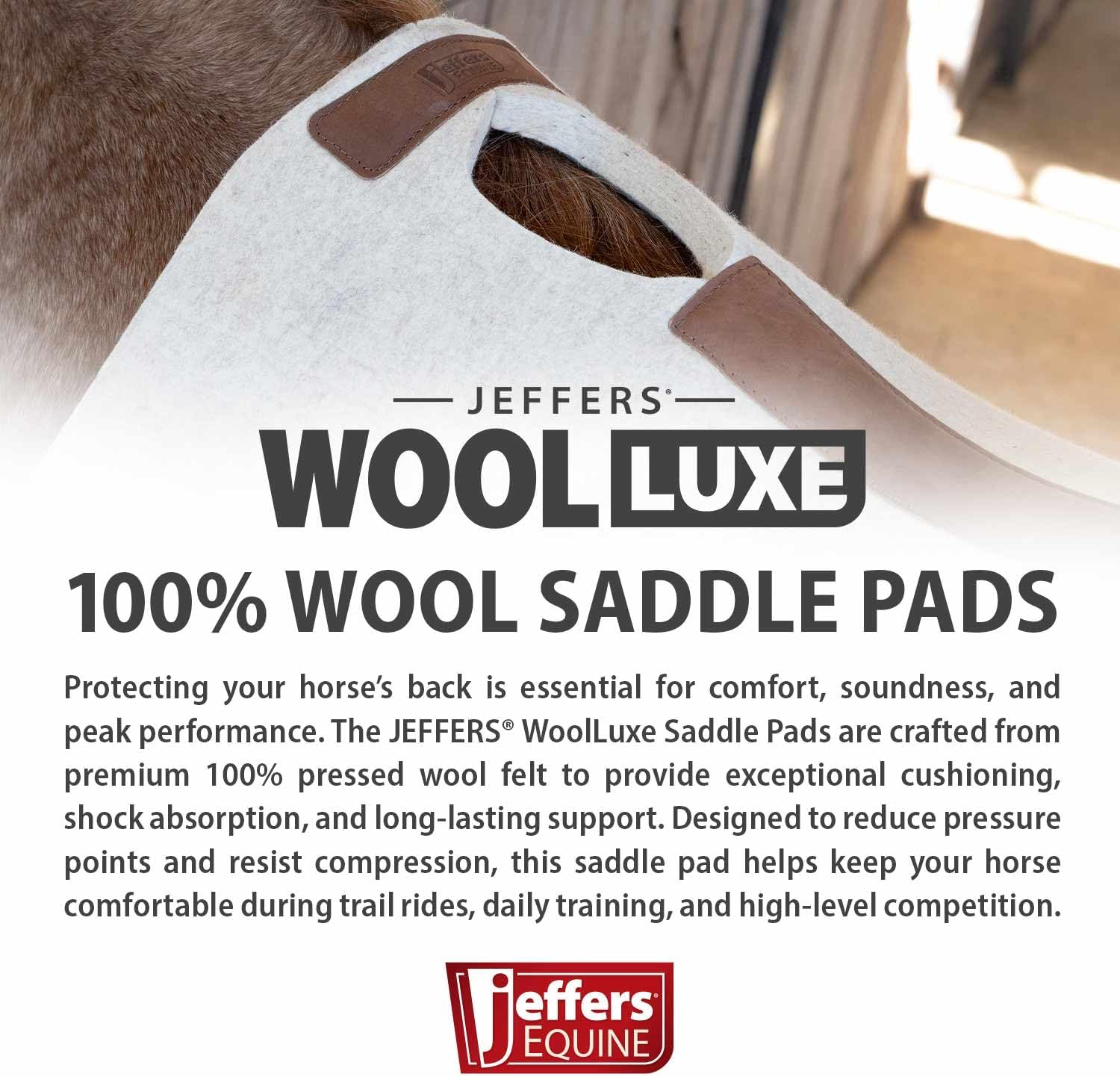 Jeffers WoolLuxe 100% Wool Felt Saddle Pad for Horses – Shock Absorbing, Breathable Equestrian Pad Horse Back Protection