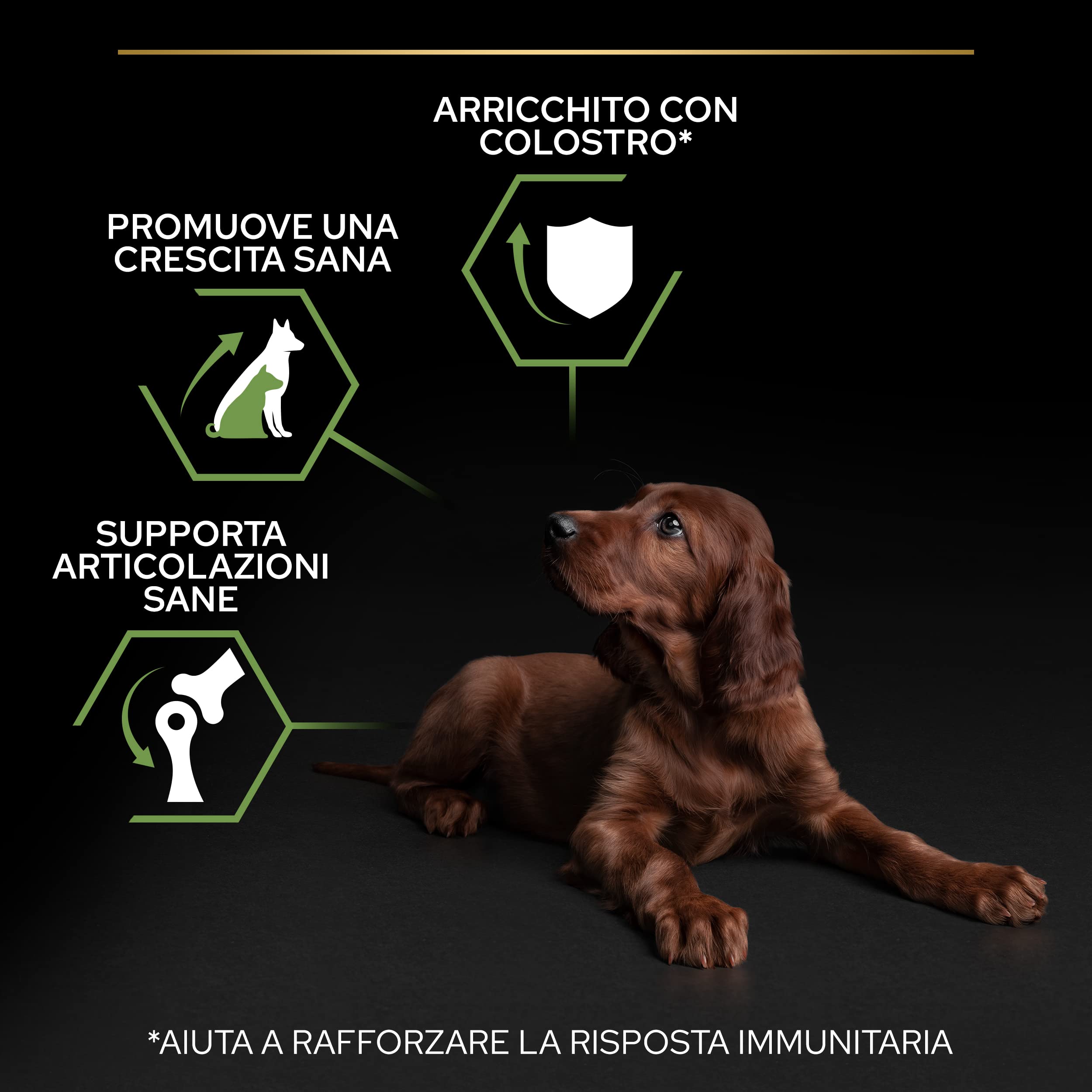 PURINA PRO PLAN Healthy Start Large Athletic krokiety dla psów z kurczakiem, 4 worki 3 kg