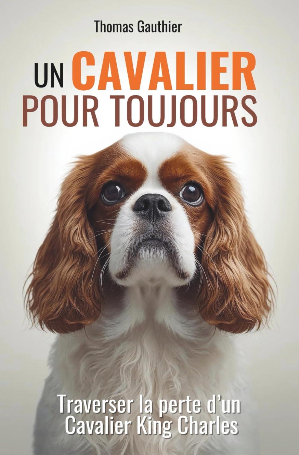 Un Cavalier pour toujours: traverser la perte d’un Cavalier King Charles