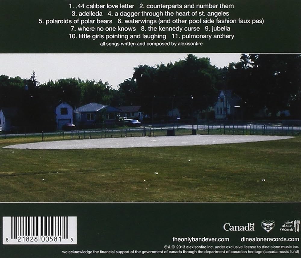 Alexisonfire Accidents 7インチ　アナログ　レコード Alexisonfire Accidents 7インチ アナログ レコード