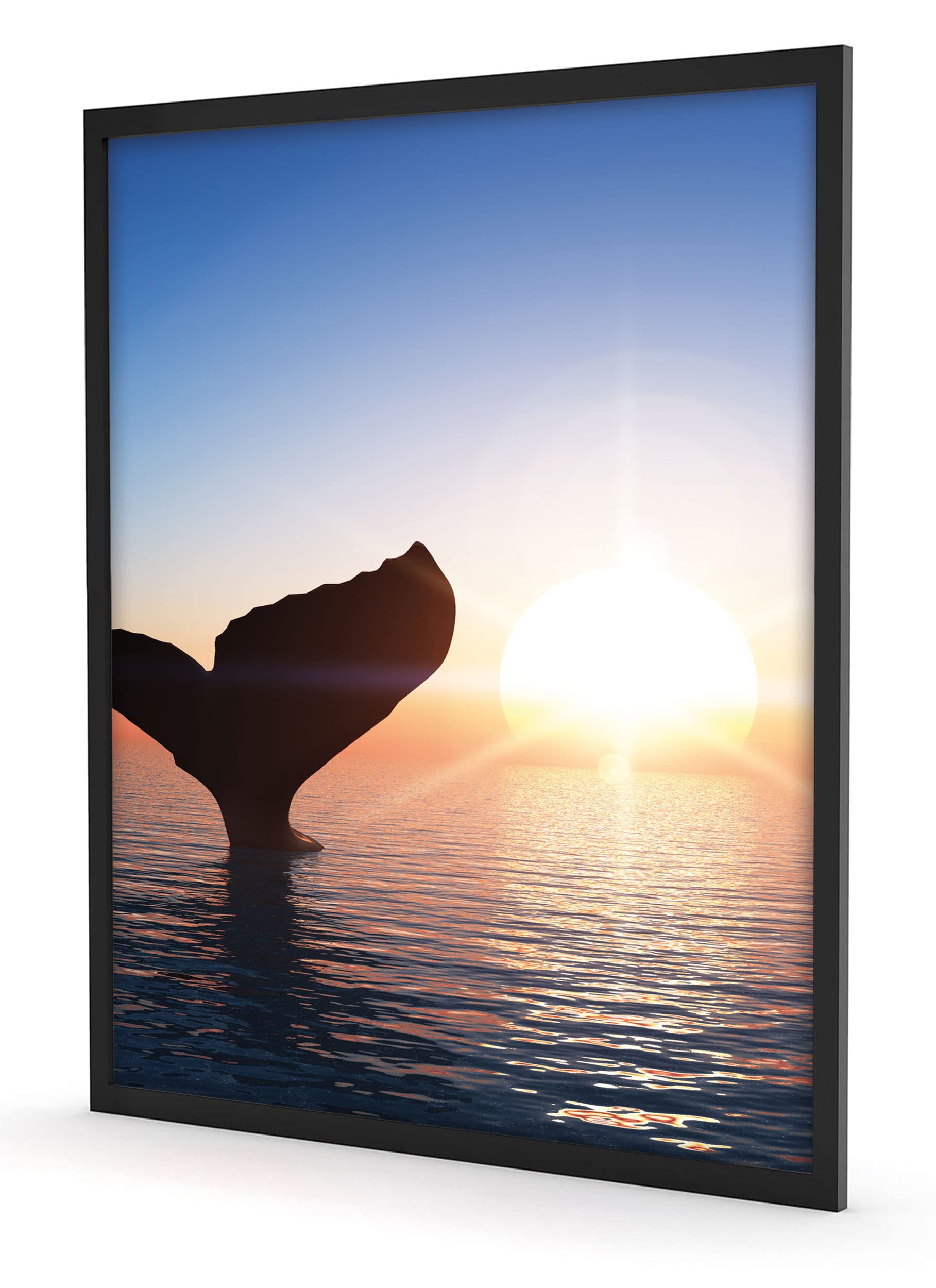 Pinna balena al tramonto, poster in cornice, formato: 80 x 60 cm, stampa artistica incorniciata