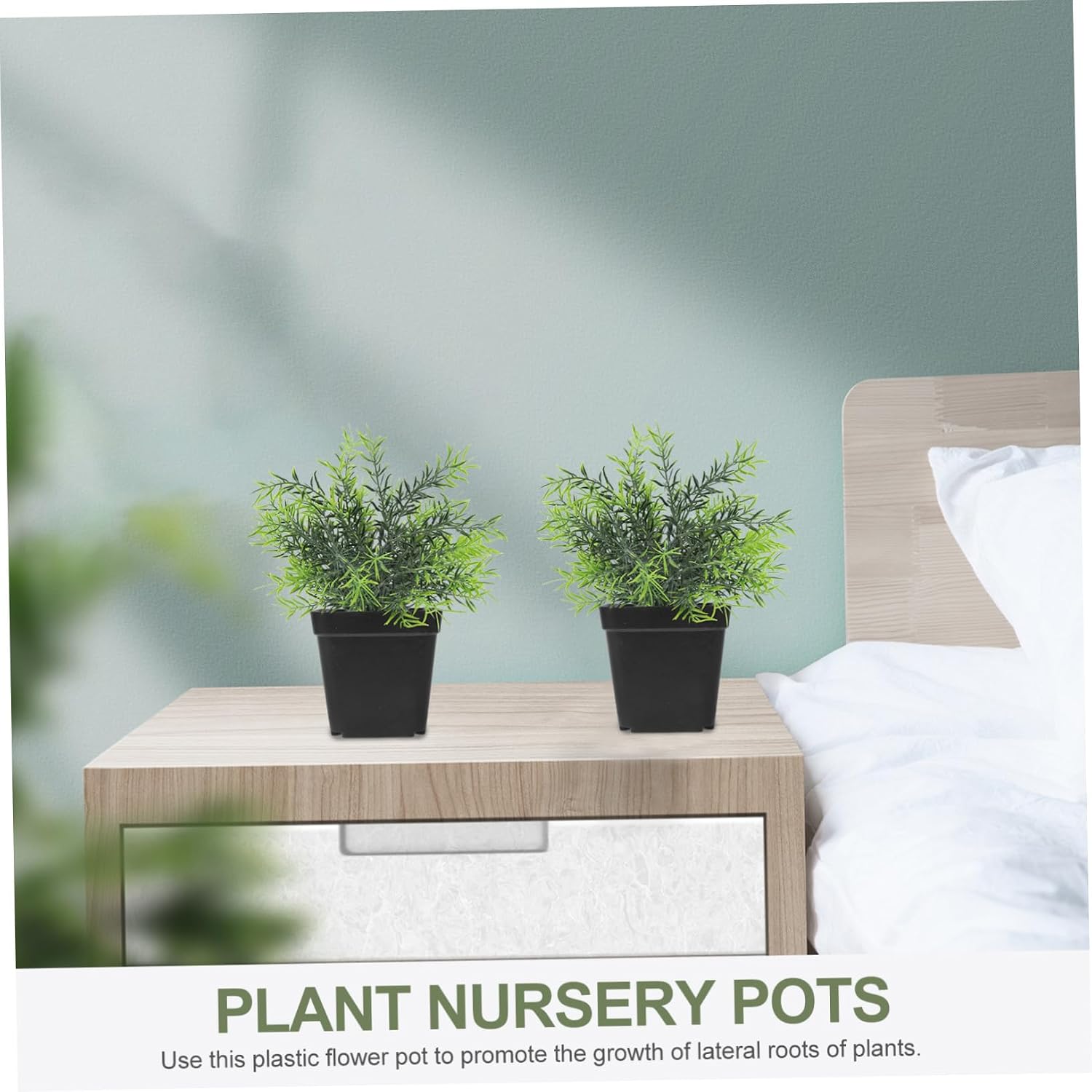 NUOBESTY 2 Inch Black Square Flower Pots Small Plastic Plant Pots 100PCS Mini for Cactus Bonsai